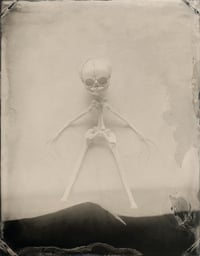 Image 18 of Seas Without A Shore