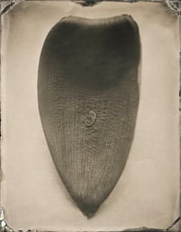 Image 19 of Seas Without A Shore