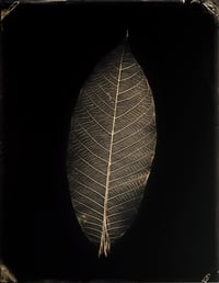 Image 21 of Seas Without A Shore