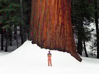 Image 2 of "Fall of a Nation" - Fine Art Print