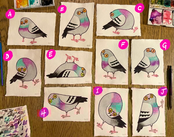 Image of More Pidges