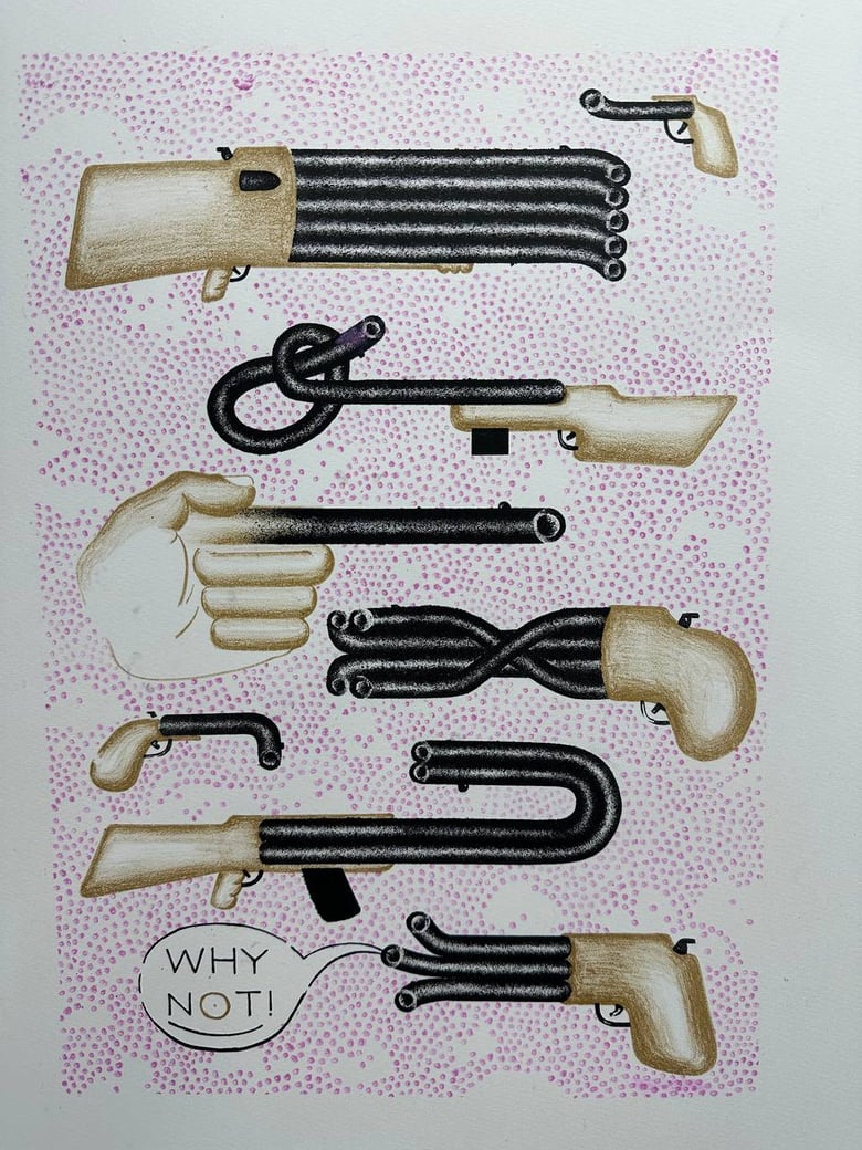 Image of Why Not! guns