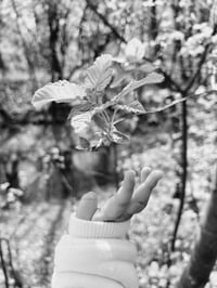 Image 3 of The Bulgarian for ‘I Love You’, by Martina Mustafova