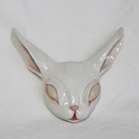 Image 1 of Baby Rabbit