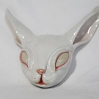 Image 2 of Baby Rabbit