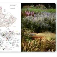 Image 8 of FUKT #22 – The Nature Issue 