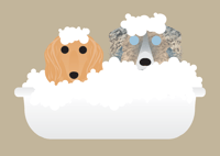 Two Small Dogs in Bath Custom