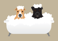Two Dogs in Bath Custom