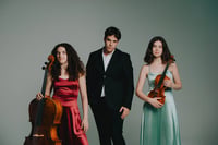 Támogatói jegy - Trio Mikrokosmos ProVibe Classic Stúdiókoncert 2026.02.21. 14:00