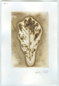Image 1 of BEUYS' ACORNS Gall Ink Leaf Print (set 1) 2025