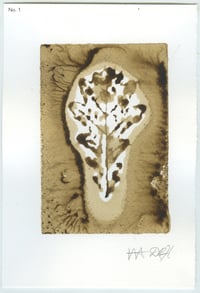 Image 1 of BEUYS' ACORNS Gall Ink Leaf Prints (set 2) 2025