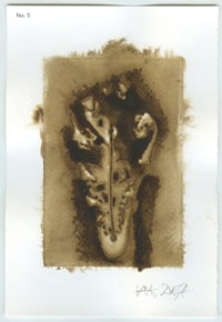 Image 5 of BEUYS' ACORNS Gall Ink Leaf Prints (set 2) 2025
