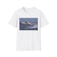 Image 1 of Ocean Wildlife Graphic T-Shirt
