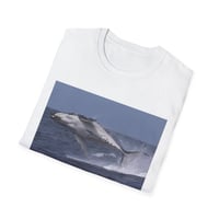Image 4 of Ocean Wildlife Graphic T-Shirt