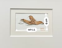 Image 5 of Jonathan Toomey's carving of a robin