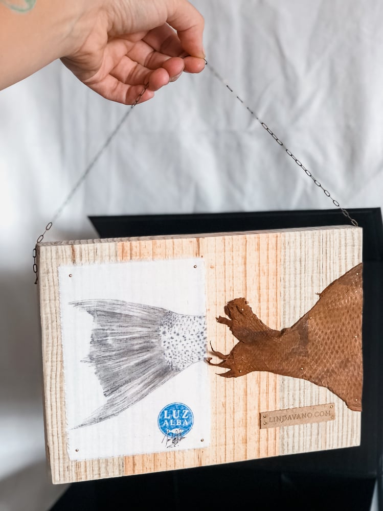 Image of LindadeLagos & Luzalba