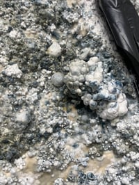 Image 2 of T8 Nerds Liquid culture 