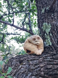 Image 2 of In An Uncertain World