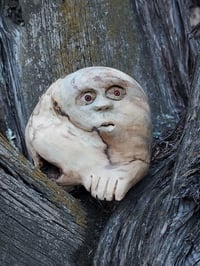 Image 3 of In An Uncertain World