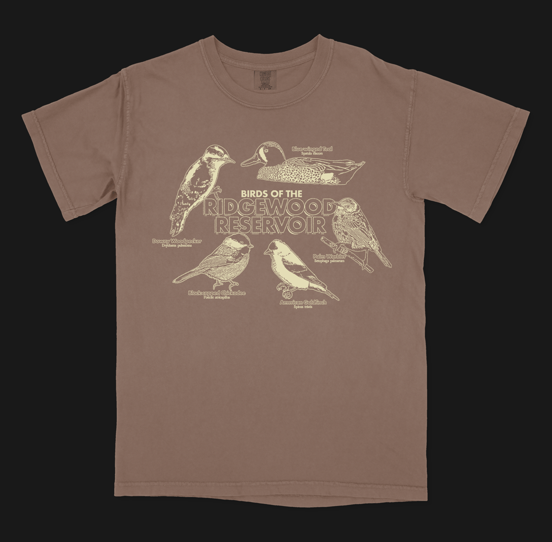 Image of Birds of the Ridgewood Reservoir T-shirt