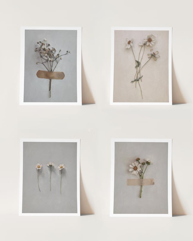 8x10  - Floral Giclée Print Set of Four
