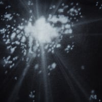 Image 2 of sun through trees #1 - L