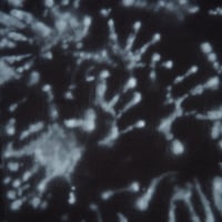 Image 2 of raise your hand and your questions will be answered - L