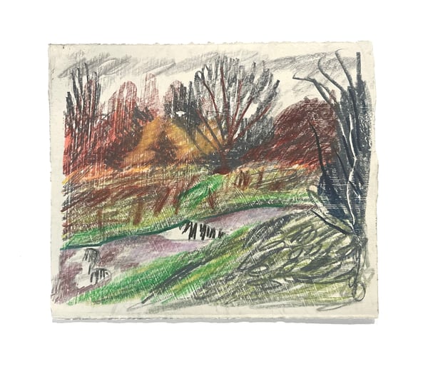 Image of Evening Puddles