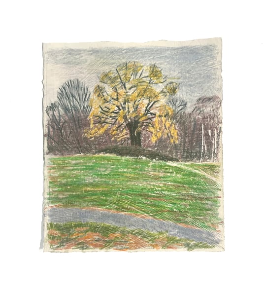 Image of Across the Meadow