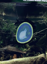 Image 1 of fish egg sticker