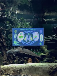 Image 1 of connections sticker 