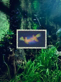 Image 1 of i’ve missed you so much sticker 