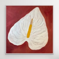 Bloom no.2