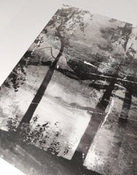 Image 3 of Mumbles Trees (no. 3 in series)