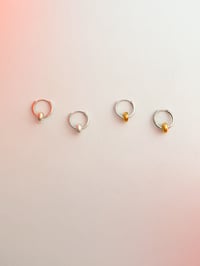 Image 1 of CIAMBELLINE 🍩