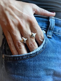 Image 1 of ✧ DOPPIA STELLA ✧