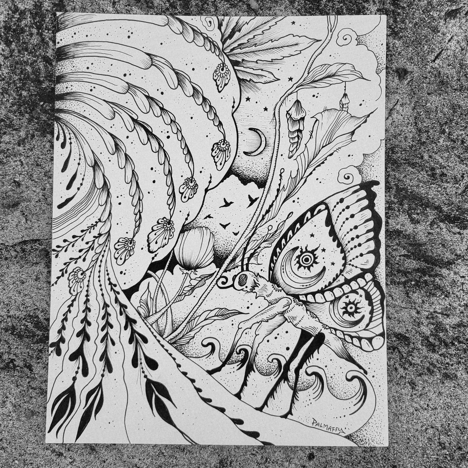 Image of Metamorphosis! Original Drawing