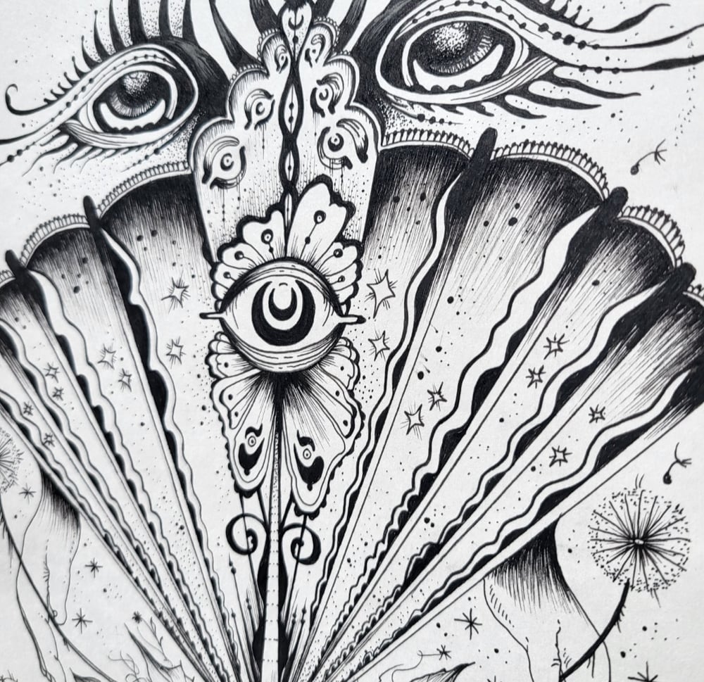 Image of Luna Moth Original Drawing