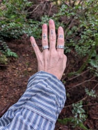 Image 3 of Scavenger Rings