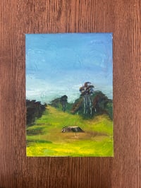 Image 1 of Hellman Hollow Meadow 2025