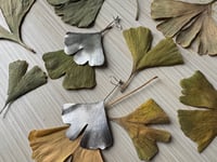 Image 1 of Ginkgo leaf earrings
