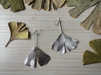 Image 3 of Ginkgo earrings