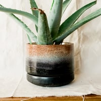 Image 1 of Gradient Planter with Carved Dish