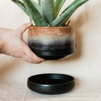 Image 2 of Gradient Planter with Carved Dish