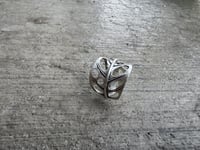 Image 1 of Swiss Cheese Monstera, size 7-7.5