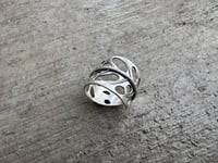 Image 2 of Swiss Cheese Monstera, size 7-7.5