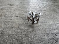 Image 3 of Swiss Cheese Monstera, size 7-7.5