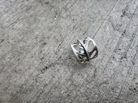 Image 4 of Swiss Cheese Monstera, size 7-7.5