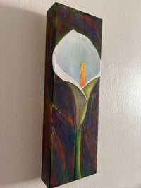 Image 2 of Calla Lilly