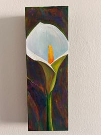 Image 1 of Calla Lilly